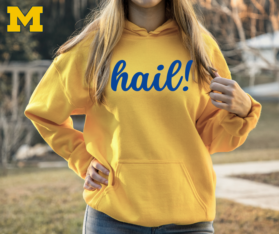 Hail Michigan Hoodie