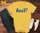 michigan tshirt hail go blue
