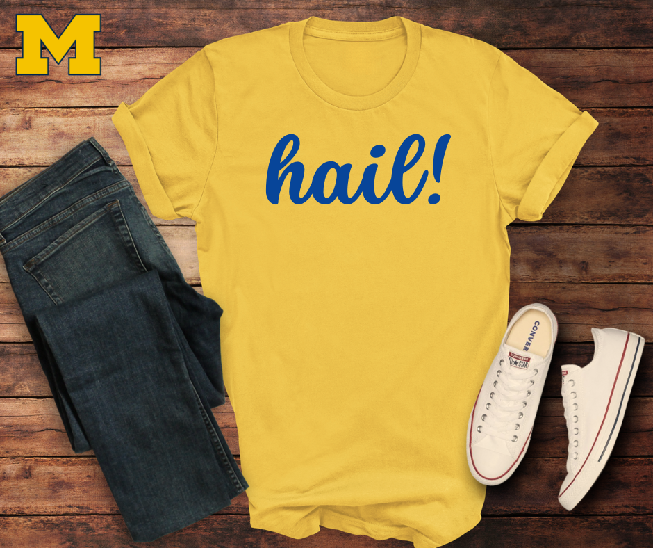 michigan tshirt hail go blue